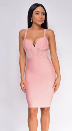 Casella Pink V Neck Bustier Mesh Bandage Dress